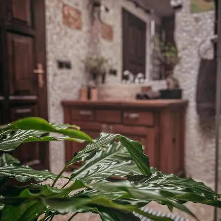 Ferienhaus Roenkhaz *